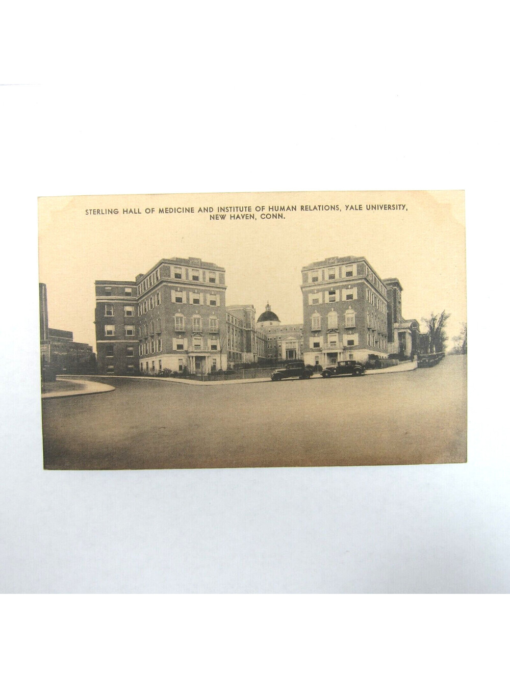Vintage Collotype Postcard Yale University Sterling Hall Medicine Human Relation